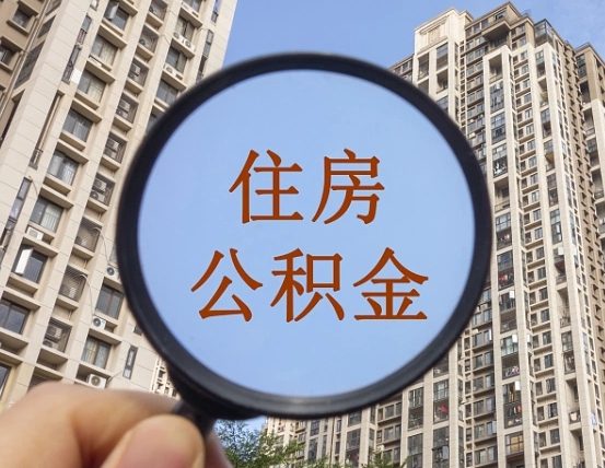 燕郊退休后查不到公积金明细了吗（退休后公积金查询不到原因）